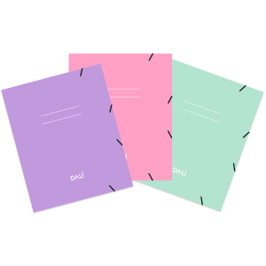 Carpeta Escolar con Elástico Premium