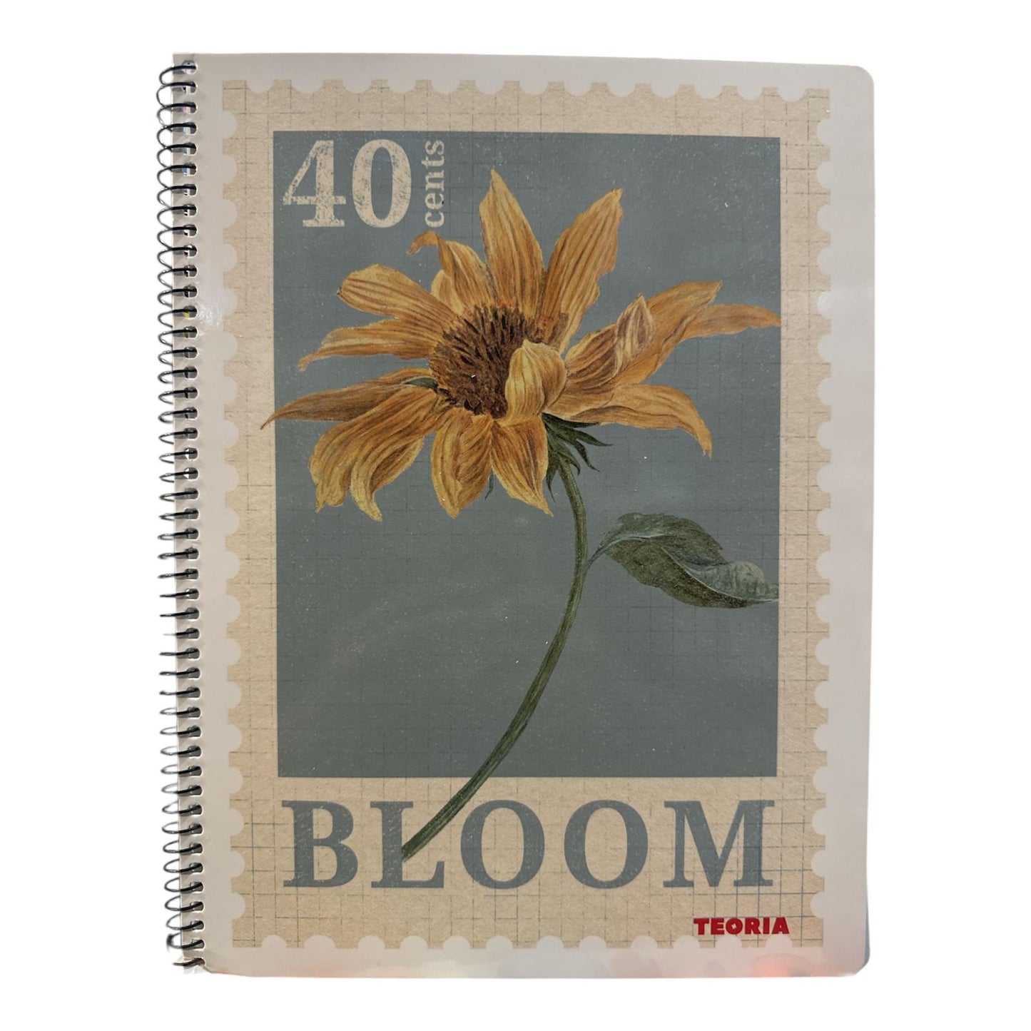 Cuadernola Teoria Trendy Tapa dura 100 hojas