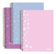 Cuaderno Teoria Liso x 96 hojas con Espiral
